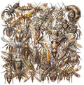 50 Pcs Steampunk Insect Stickers for Scrapbooking – Vintage Mechanical Bug Decals with Gears & Clockwork, Clear Waterproof Aesthetic Stickers for Journaling, Water Bottle, DIY Crafts