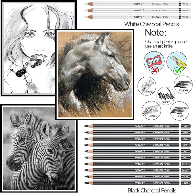 PANDAFLY 24 Piece Charcoal Drawing Set, Black & White Charcoal Pencils for Drawing, Sketching, Shading, Blending, Artist Pencils for Adults Beginners & Pro Artists