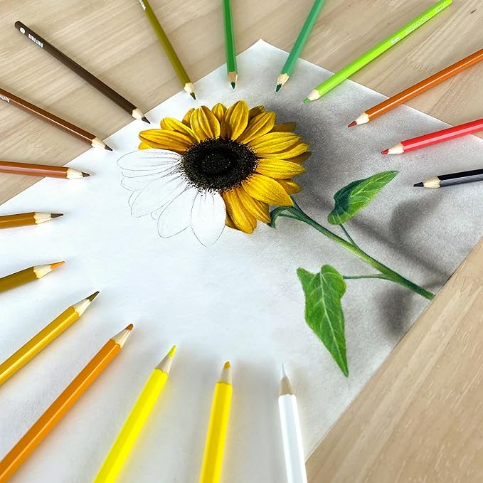 MyArtscape Colored Pencils Set of 72 – Soft Core Oil-Based Color Pencils with Vibrant Colors, Break-Resistant Core, Foldable Roll-Up Holder, Adult Coloring Book Kit