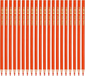 PATIKIL Orange Colored Pencils Set,20 Pcs Oil Color Pencils Wooden Coloring Drawing Pencil for Artists Art Painting