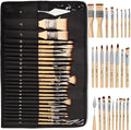 Nicpro 26pcs Paint Brush Set, Professional Paintbrushes with Palette Knife and Cloth Roll, Artist Paint Brushes for Acrylic Painting, Oil, Watercolor & Gouache, Adults Art Painting Tools Supplies