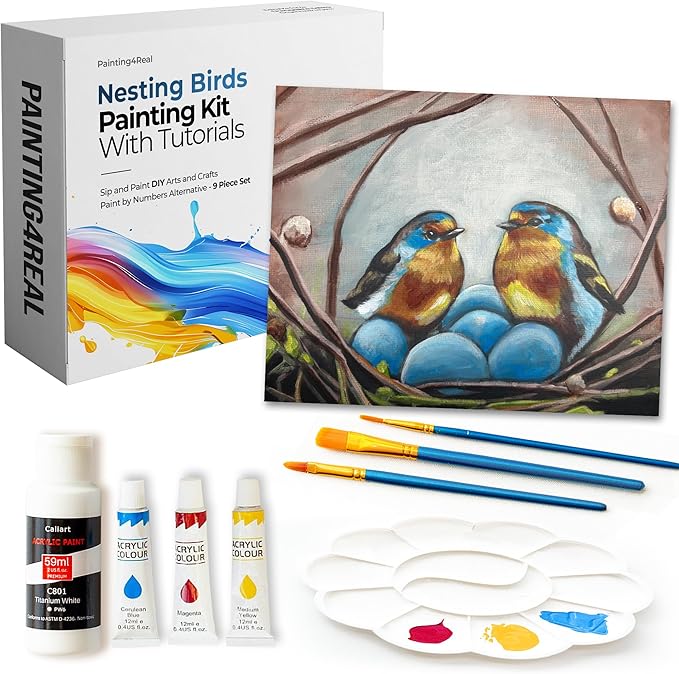 DIY Art Painting Kit for Adults – Learn to Paint Nesting Birds with Video Tutorials – 9 Pieces Acrylic Paint Set for Adults –Perfect Christmas Crafts & Holiday Gifts for Art Lovers