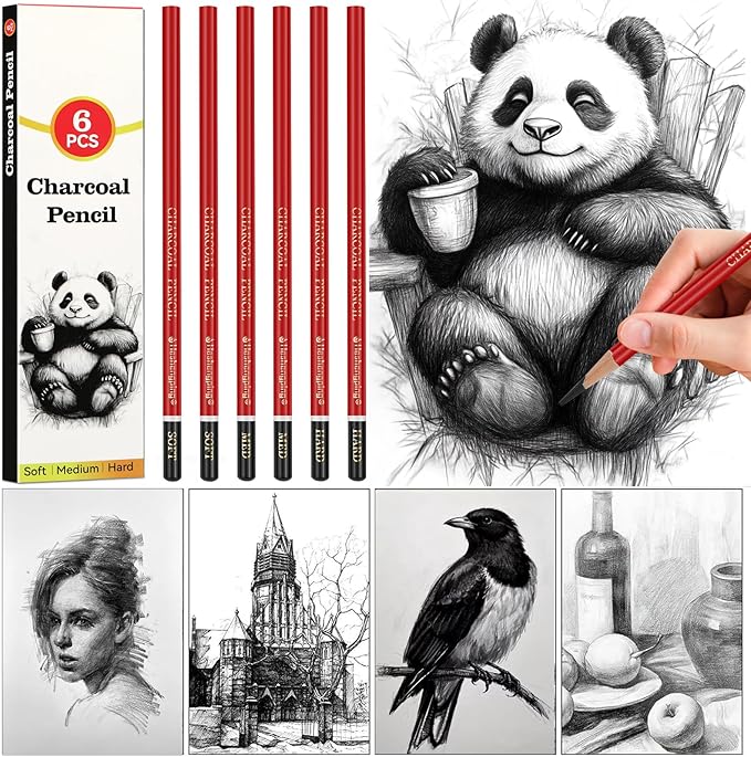 Professional Charcoal Pencils for drawing, Set of 6, Black Charcoal Drawing Pencils (Soft, Medium, Hard), Art Supplies for Drawing Sketching, Shading