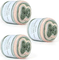 Aeelike Cake Yarn for Crocheting, 3 Skeins Gradient Yarn 100g (3.52 oz) 245m (267 Yards) # 3 Light Weight, Soft Ombré Yarns Fairyland Yarns Rainbow for Making Colorful Crafts, Pink Green Gradient