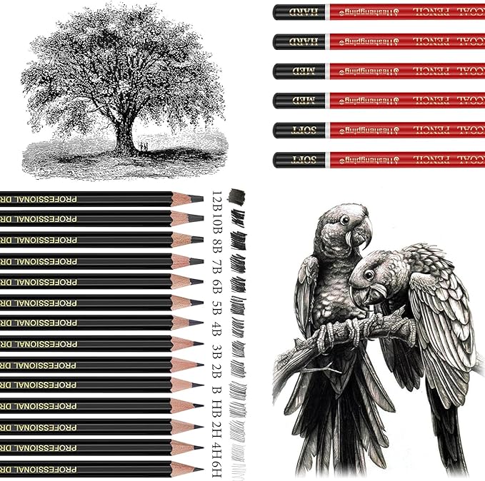 Heshengping Drawing Pencils Sketch Pencil Art Supplies Set for Kids Adults beginners Professional Sketching Art Graphite Charcoal Blending Stump Pencils kit