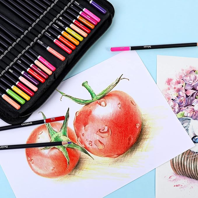 96pcs Colored Drawing Pencils Kit Sketching, Graphite Pencils With Convenient Case, Ideal School Art Supplies Gift for Artists Adults Teens Beginner, Ideal for Shading, Blending,Art Supplies Set,