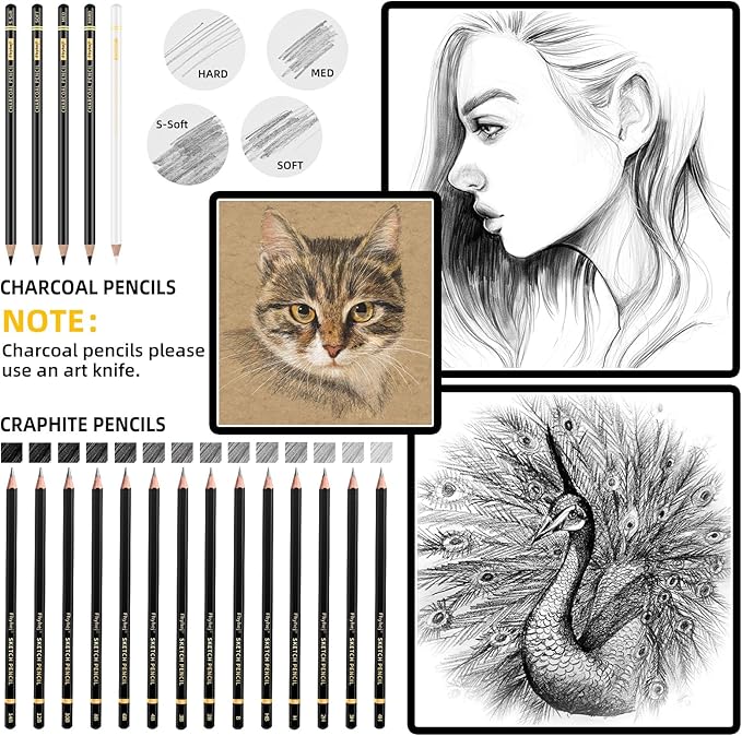 24-Piece Drawing Pencil Set - 14 Graphite Sketch Pencils (14B-4H), 4 Charcoal Pencils, White Charcoal Pencil & Art Supplies, Sketch Pencils for Drawing, Shading, Sketching for Beginners & Artists
