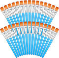 Zonon 30 Pieces Paint Brushes Bulk Small Flat Top Acrylic Oil Paint Brush for Artists Mini Touch up Crafts Detail Painting(1 Inch,Blue)