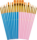 Paint Brushes Set, 20 Pcs Paint Brushes for Acrylic Painting, Oil Watercolor Acrylic Paint Brush, Artist Paintbrushes for Body Face Rock Canvas, Adult Drawing Arts Crafts Supplies, Blue+Pink