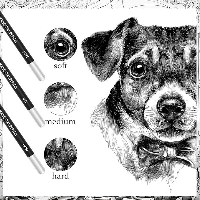 Geyoga 180 Pcs Professional Charcoal Pencils Drawing Set Soft Medium and Hard Charcoal Sketch Drawing Pencils for Beginners Artists Shading Sketching