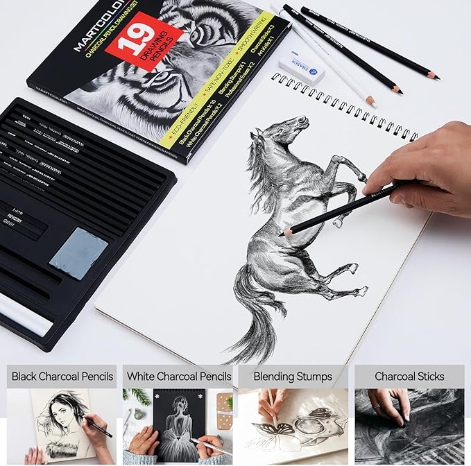 Charcoal Drawing Set, 19 Pieces, Black & White Charcoal Pencils for Drawing, Sketching, Shading, Blending, Artist Pencils for Beginners & Pro Artists