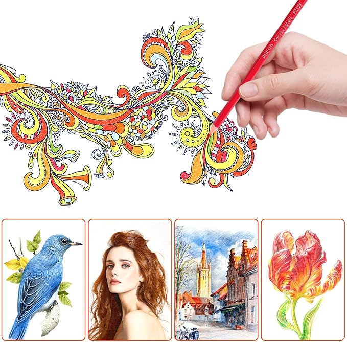 12-Color Colored Pencils Professional Coloring Pencils for Adults Art Color Drawing