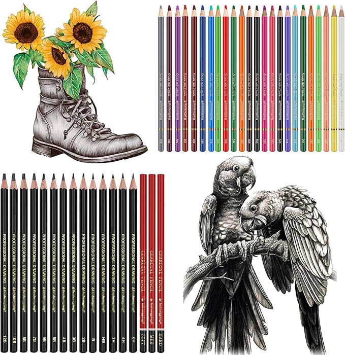 Sketching Drawing Art Pencil Kit-50 Piece Set with 24 Color Pencils for Adult Kid Coloring Books, 14 Graphite 3 Charcoal Erasers Etc., Artist Supplies Ideal for Adult, Kid,Student, Beginner