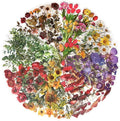 Yoksas Nature Floral Plant Stickers Set - 320 Pieces Transparent Pressed Flower Decals Journaling Stickers for Scrapbook,Junk Bullet Journal,Planner,Resin Art
