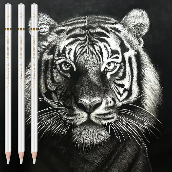 White Color Pencils, Professional 6 Pack Draw Pencil for Sketching, White Sketch Pencils for Sketching, Shading, Blending, Chalk for Beginners & Artists, Art Supplies for Drawing and Highlighting