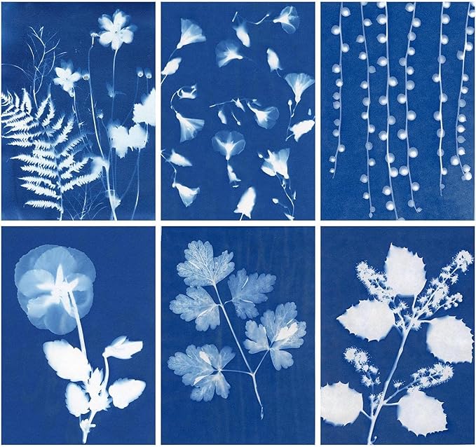 60 Sheets Sun Print Paper Cyanotype Paper Kit, A5 Sun Art Papers With 1 Plastic Tool for Printing, Light Sensitive Solar Photography Papers for Kids DIY Crafts (5.8x 8.3 inch)