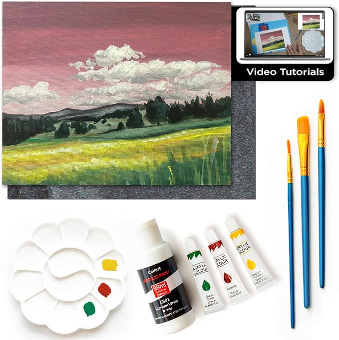 Painting4Real DIY Art Painting Kit for Adults – Learn to Paint Meadows with Video Tutorials – 9 Pieces Acrylic Paint Set for Adults –Perfect Christmas Crafts & Holiday Gifts for Art Lovers