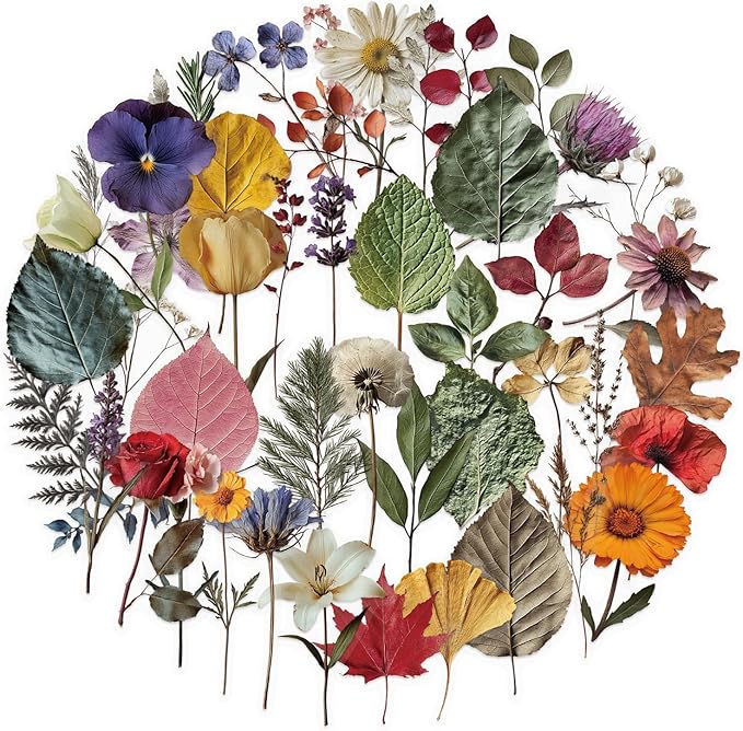 50Pcs Leaf and Flower Specimens Stickers, Vintage Aesthetic Plant Stickers Packs for Journal, Scrapbooking, Photo Album, Laptop, Kindle, Refrigerators, Suitcase, Waterproof PET Transparent Decals