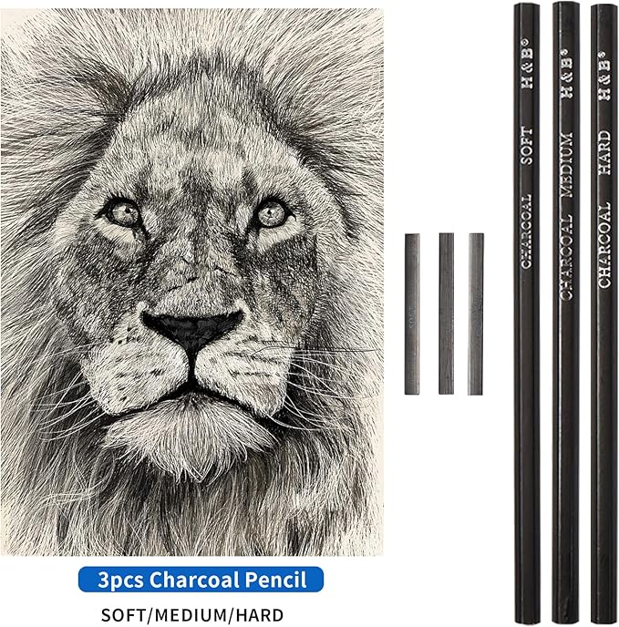 YBLANDEG Sketching and Drawing Colored Pencils Set 96-Pieces,Art Supplies Painting Graphite Professional Art Pencils Kit,Gifts for Teens & Adults Drawing Charcoal Tool Set