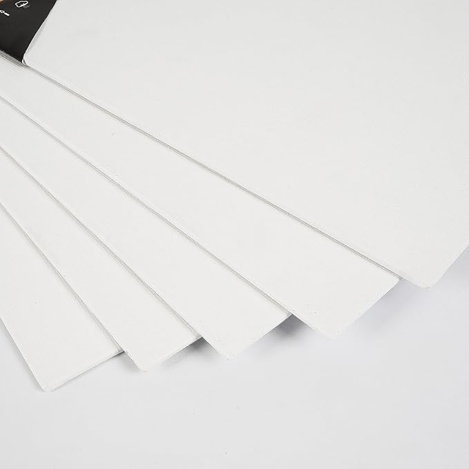 CONDA Canvas Board 10 x 10 inch, 14 Pack Canvases for Painting, Gesso Primed Acid-Free, 100% Cotton Canvas for Drawing, Artist Canvas Panels for Acrylic, Pouring & Oil Painting