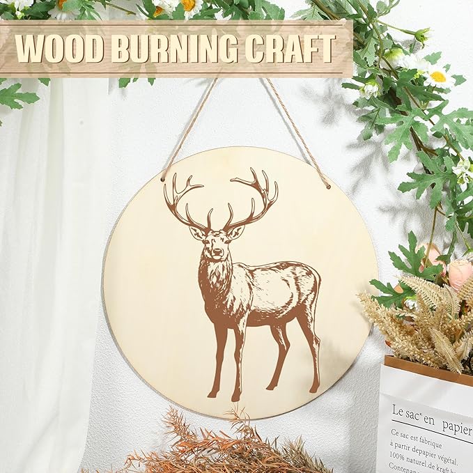 Suzile 20 Pcs Blank Wood Rounds Unfinished Wooden Crafts Signs Circles Discs for DIY Christmas Home Decor Painting Door Hanger Design(10 Inch)