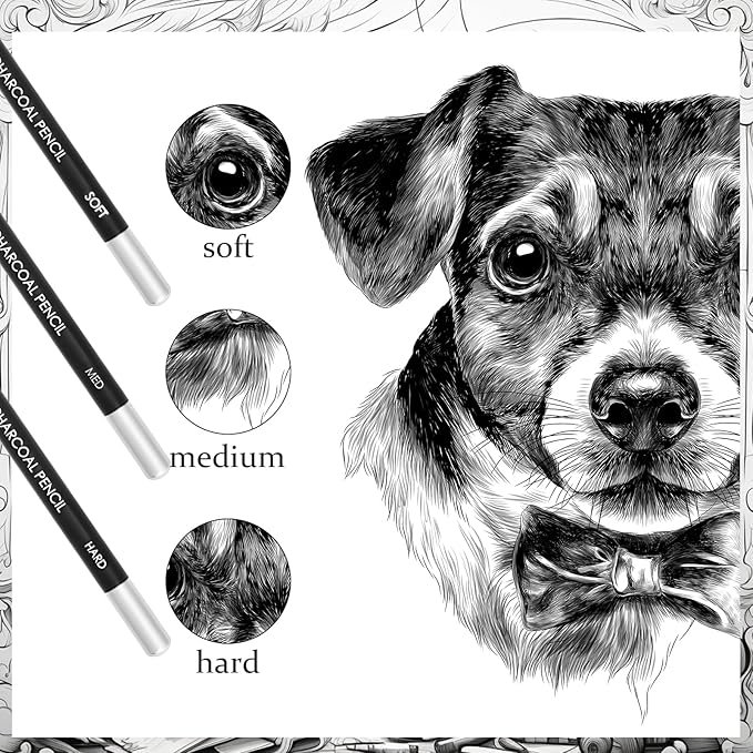 Geyoga 36 Pcs Professional Charcoal Pencils Soft, Medium and Hard for Drawing Charcoal Pencils for Sketching Shading Drawing Blending Portrait(Black, Medium)