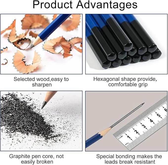 Pro Pencils Drawing Sketching Set 14 pcs Graphite (12B - 6H) Kit Soft Pencils Ideal Gift for Drawing Art, Sketching, Shading, Artist Pencils for Beginners Pro Artis