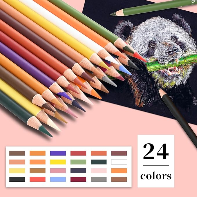 Pastel Pencils,Colored Charcoal Pencils Drawing Set, Skin Tone Colored Pencils,Charcoal Pencils for Drawing Pastel Chalk Pencils for Sketching, Shading, Coloring, Layering & Blending,24 Colors