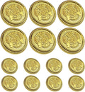 14PCS Gold Blazer Buttons for Men Replacement Buttons Suits Antique Gold Buttons for Blazer 20mm and 15mm Gold Button for Sport Coat, Uniform, Jackets Vintage Blazer Buttons Men