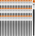 Crtiin 60 Pcs Operation Christmas Bulk Items Paint Brush for Acrylic Painting Paintbrushes Bulk Artist Brush for Detail Watercolor Oil Art(Black,1/2 Inch)