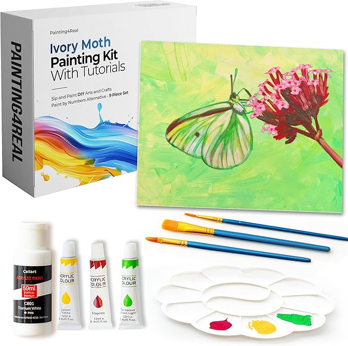 DIY Art Painting Kit for Adults – Learn to Paint Moth with Video Tutorials – 9 Pieces Acrylic Paint Set for Adults –Perfect Christmas Crafts & Holiday Gifts for Art Lovers