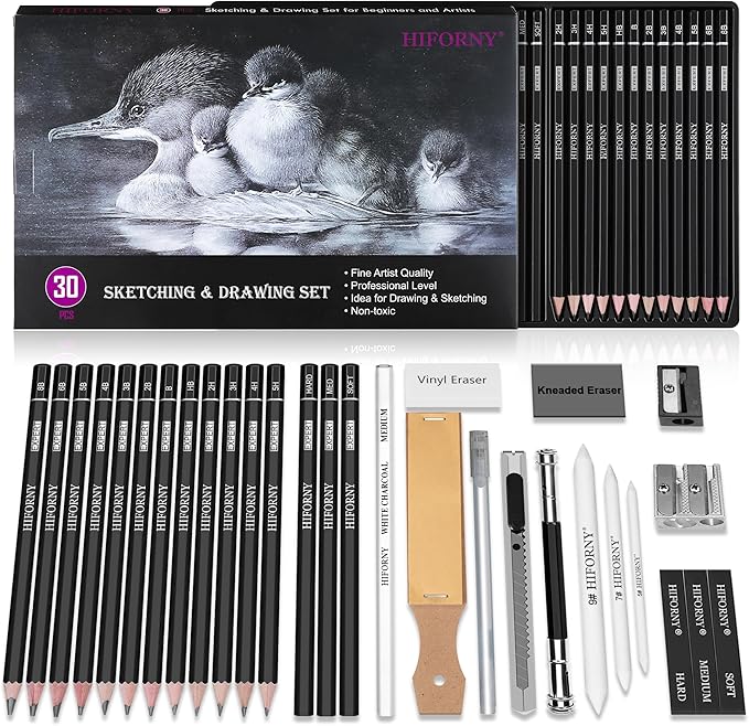 HIFORNY 30 PCS Sketching Drawing Pencil Set,Sketch Pencils Art Supplies with Graphite,Charcoal,Blending Tools,Accessories,Drawing Kit for Adults Artists