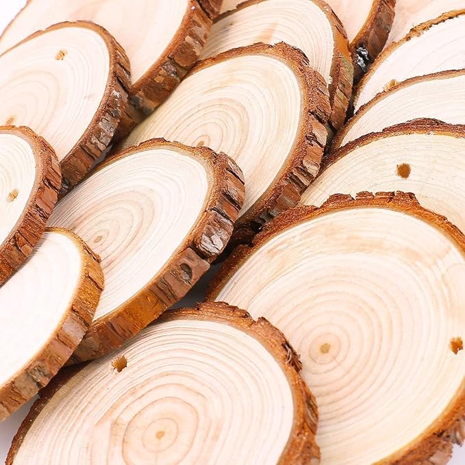 Unfinished Natural Wood Slices 32 Pcs 3.5-4 Inch Wood Coaster Sets Pieces Craft Wood kit Predrilled with Hole Wooden Circles Great for Arts and Crafts Christmas Ornaments DIY Crafts Rustic Wedding
