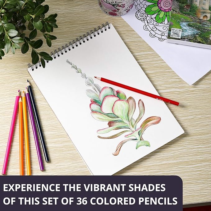 Mr. Pen- Colored Pencils, 36 Pack, Soft Core, Colored Pencils for Adults & Kids, Sets of Wooden Color Pencil, Christmas Gift