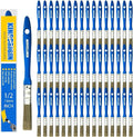 King Origin Small Paint Brush Set, 50 Pcs, 1/2 Inch (13 mm) Mini Paint Brushes for Detailed Painting, Touch-Ups, Crafts, Furniture, DIY Painting