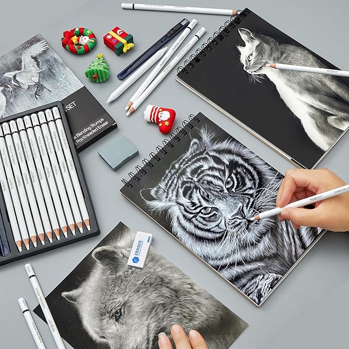 PANDAFLY White Charcoal Pencils Set, Professional 14 Piece Sketch Highlight Charcoal Pencils for Drawing, Sketching, Shading, Blending, White Chalk Pencils for Beginners & Pro Artists