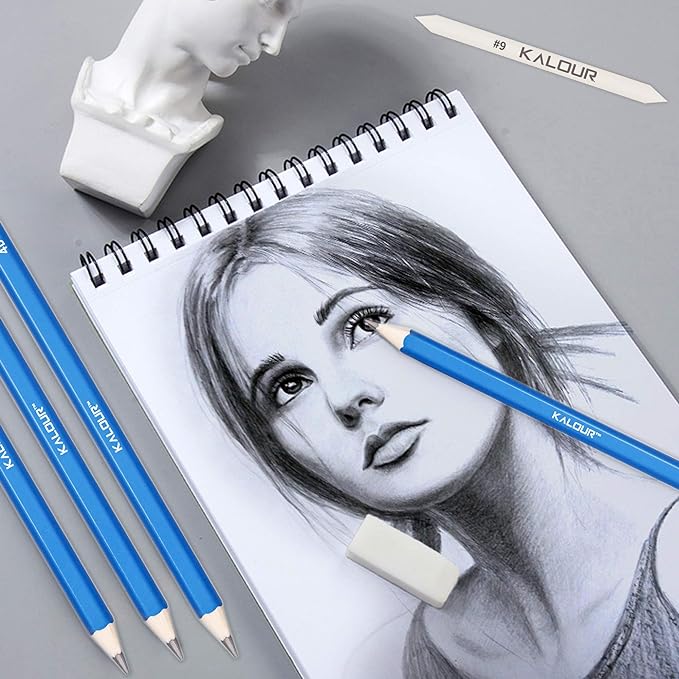 KALOUR 33 Pro Drawing Kit Sketching Pencils Set,Portable Zippered Travel Case-Charcoal Pencils, Sketch Pencils, Charcoal Stick,Sharpener,Eraser.Art Supplies for Artists Beginner Adults Teens