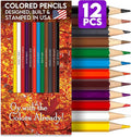 Oy With the Colors Already Colored Pencil Set – 12 Pencils with Fun and Creative Foil-Stamped Designs, Ideal Gifts and Supplies for Creative Minds – Assorted Colors