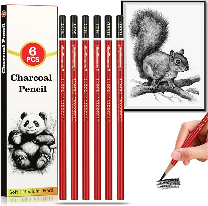Professional Charcoal Pencils for drawing, Set of 6, Black Charcoal Drawing Pencils (Soft, Medium, Hard), Art Supplies for Drawing Sketching, Shading