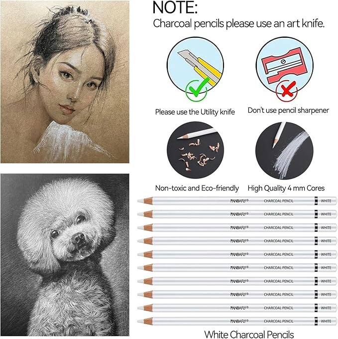 PANDAFLY White Charcoal Pencils Set, Professional 14 Piece Sketch Highlight Charcoal Pencils for Drawing, Sketching, Shading, Blending, White Chalk Pencils for Beginners & Pro Artists
