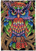 Latch Hook Rug Kits for Adults, Colorful Owl with Preprinted Canvas Pattern DIY Carpet Tapestry Rug Cushion Yarn Needlepoint, 22.5X33.5Inch / 58X85cm