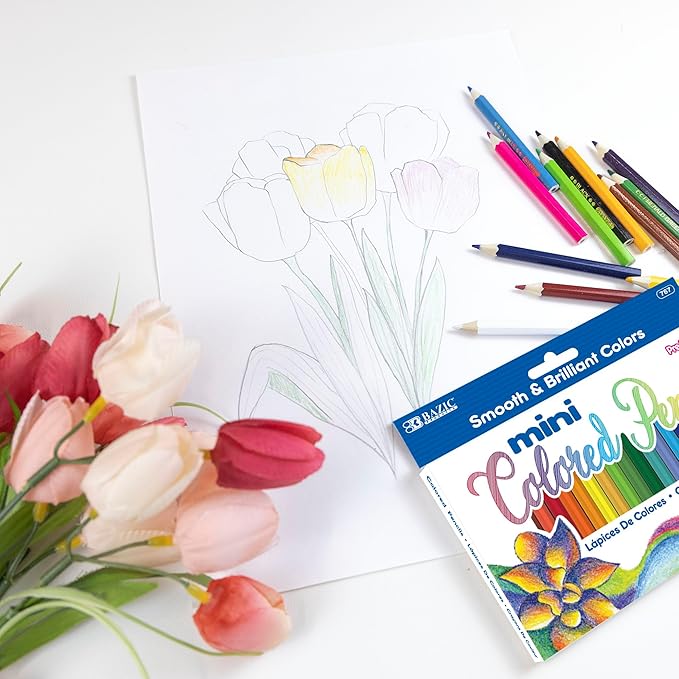 BAZIC Products Colored Pencils 24 Color, Mini Coloring Pencil Set Soft Core, for Art Drawing Sketching, Gift for Artist Adult (24/Pack), 2-Packs