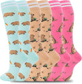 fenglaoda Compression Socks for Women Men Support Circulation 6 Pairs Socks For Nurse, Travel, Flight