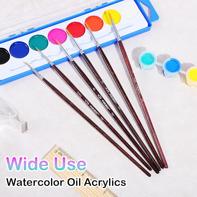 6 Pcs Rigger Brush Watercolor, Liner Brushes for Painting Extra Long Script Liner Brush Highly Flexible Fine Tip Paint Brushes for Acrylic Watercolor Oil Gouache