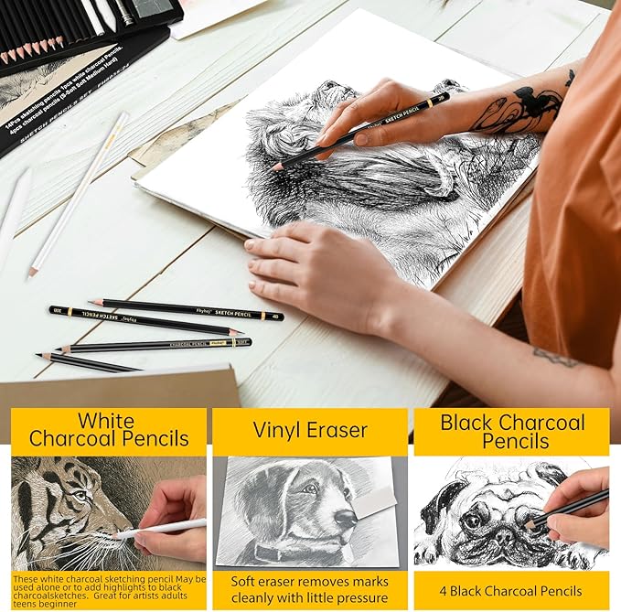 24-Piece Drawing Pencil Set - 14 Graphite Sketch Pencils (14B-4H), 4 Charcoal Pencils, White Charcoal Pencil & Art Supplies, Sketch Pencils for Drawing, Shading, Sketching for Beginners & Artists