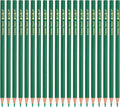 PATIKIL Green Colored Pencils Set,20 Pcs Oil Color Pencils Wooden Coloring Drawing Pencil for Artists Art Painting