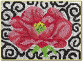 MIAOLLUN Latch Hook Kits, DIY Latch Hook Kit Rug Making Crafts for Adults Beginners with Printed Canvas Pattern 20.4"X 15"(52X38cm)