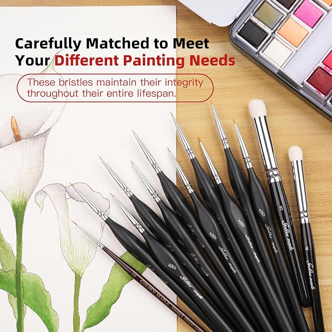 Detailing Brush Set - Golden Maple 13pcs Miniature Paint Brushes and Dry Brush Set for Fine Detail Paint, Acrylic Painting, Watercolor, Oil, Models