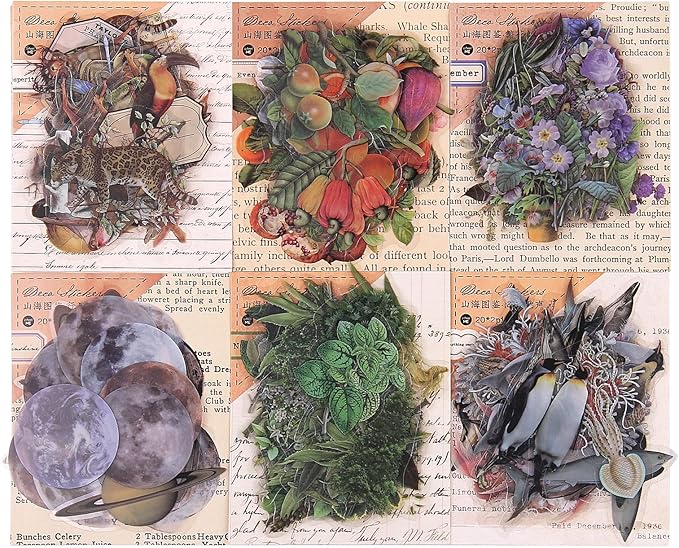 Nature Themed Transparent Pre-Cut Stickers for Scrapbooking, Pack of 240, Flora and Fauna Vintage Aesthetic Decorative Decals for Journaling Photo Album Collage Card Making Crafts