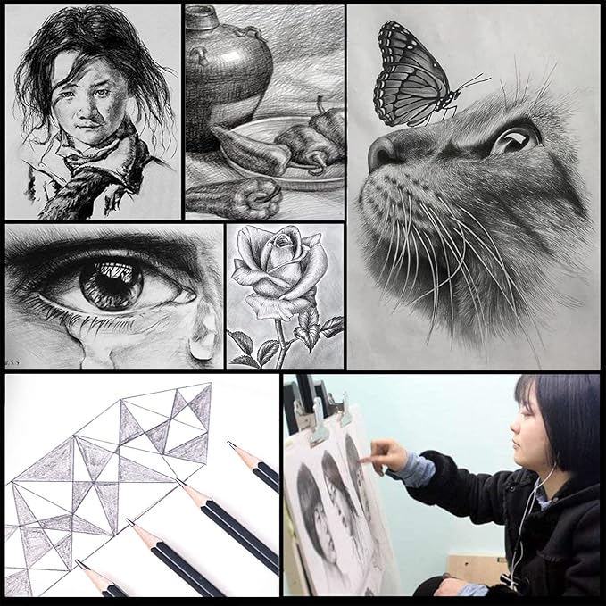 Heshengping Drawing Pencils Sketch Pencil Art Supplies Set for Kids Adults beginners Professional Sketching Art Graphite Charcoal Blending Stump Pencils kit